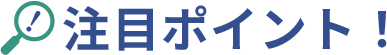 注目ポイント